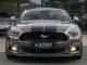 Ford Mustang   Registered:2018(18)