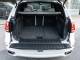 BMW X5   Registered:2014(14)
