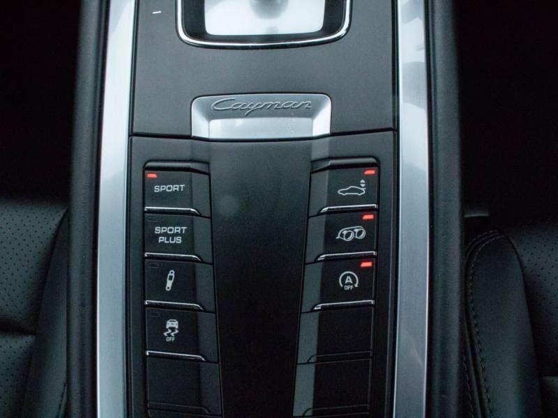 Porsche Cayman   Registered:2016(16)