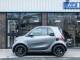 Smart Fortwo Coupe   Registered:2017(17)