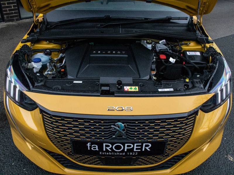 Peugeot 208   Registered:2021(21)