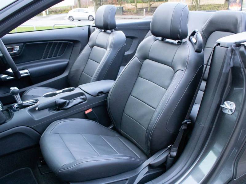 Ford Mustang   Registered:2018(18)