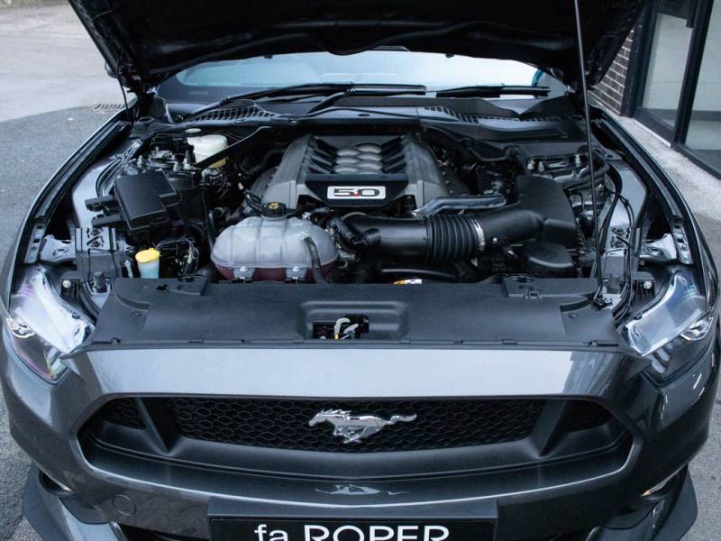 Ford Mustang   Registered:2018(18)