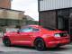 Ford Mustang   Registered:2017(66)