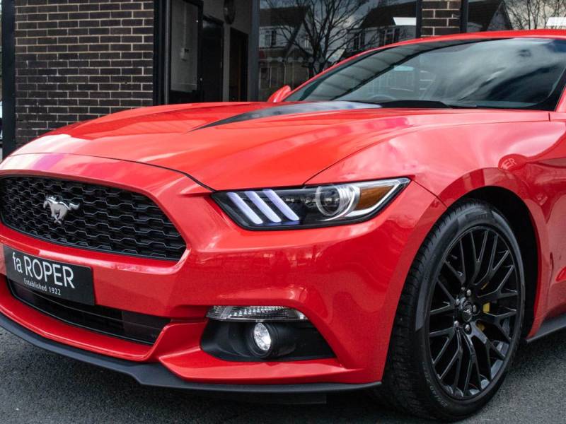 Ford Mustang   Registered:2017(66)