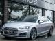 Audi A5   Registered:2017(17)