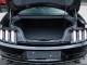 Ford Mustang   Registered:2017(17)