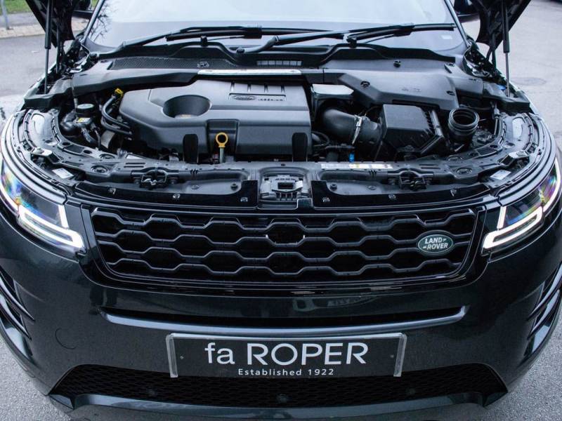 Land Rover Range Rover Evoque   Registered:2019(19)