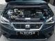 SEAT Ibiza   Registered:2019(69)