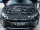 Land Rover Range Rover Evoque   Registered:2021(21)