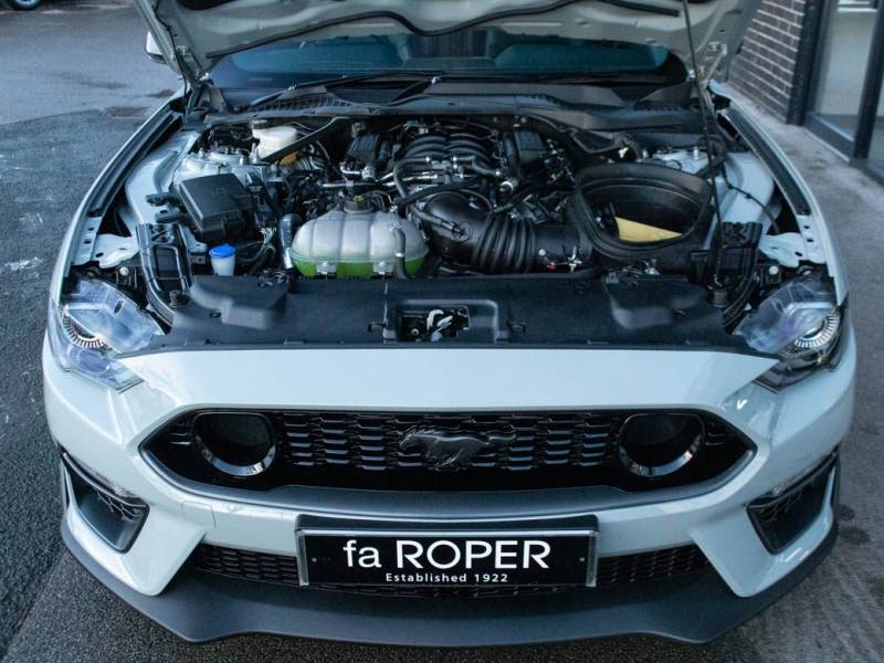 Ford Mustang   Registered:2022(72)