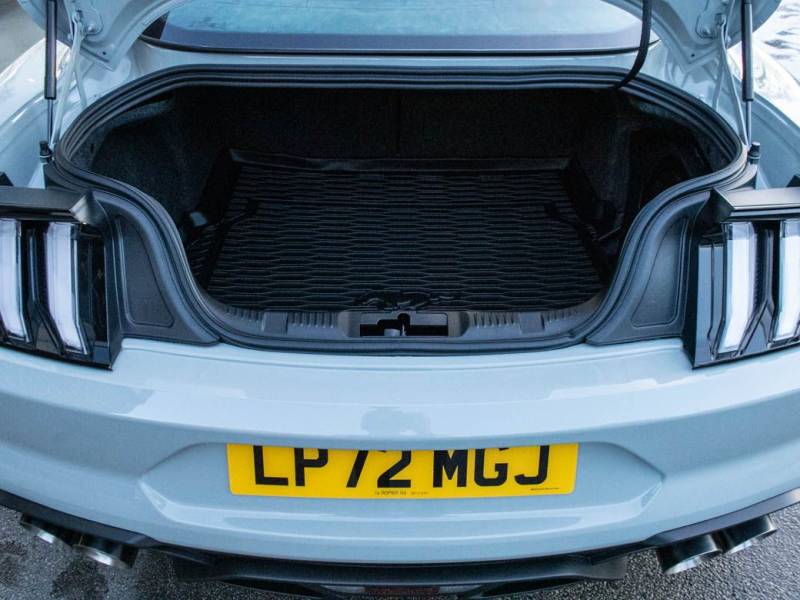 Ford Mustang   Registered:2022(72)