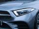 Mercedes Benz CLS   Registered:2018(18)