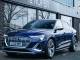 Audi E Tron   Registered:2022(22)