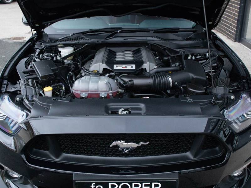 Ford Mustang   Registered:2017(17)