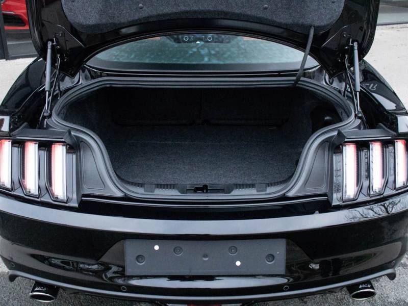 Ford Mustang   Registered:2017(17)