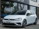 Volkswagen Golf   Registered:2019(19)