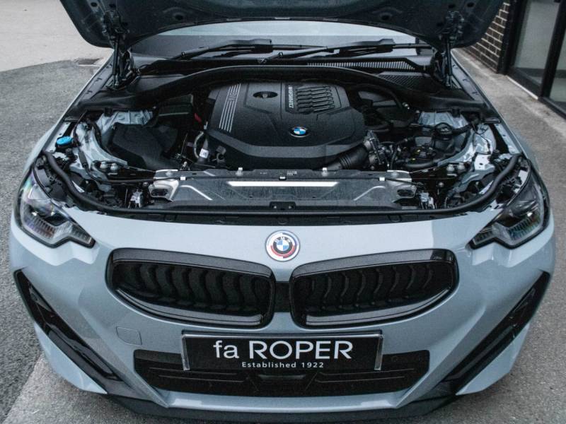 BMW 2 Series   Registered:2022(72)