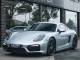 Porsche Cayman   Registered:2016(16)