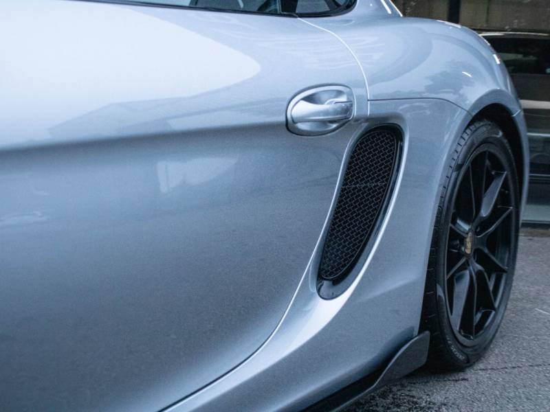 Porsche Cayman   Registered:2016(16)