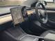 Tesla Model 3   Registered:2021(71)