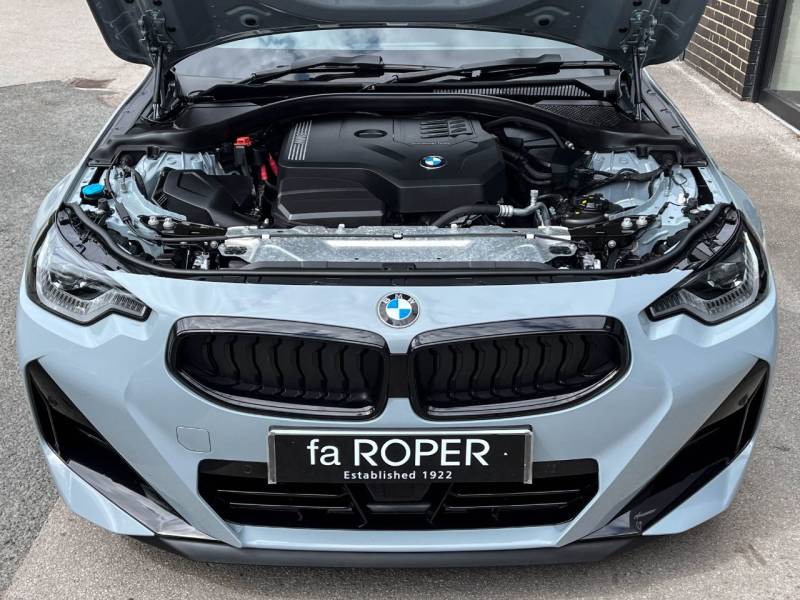 BMW 2 Series   Registered:2022(22)