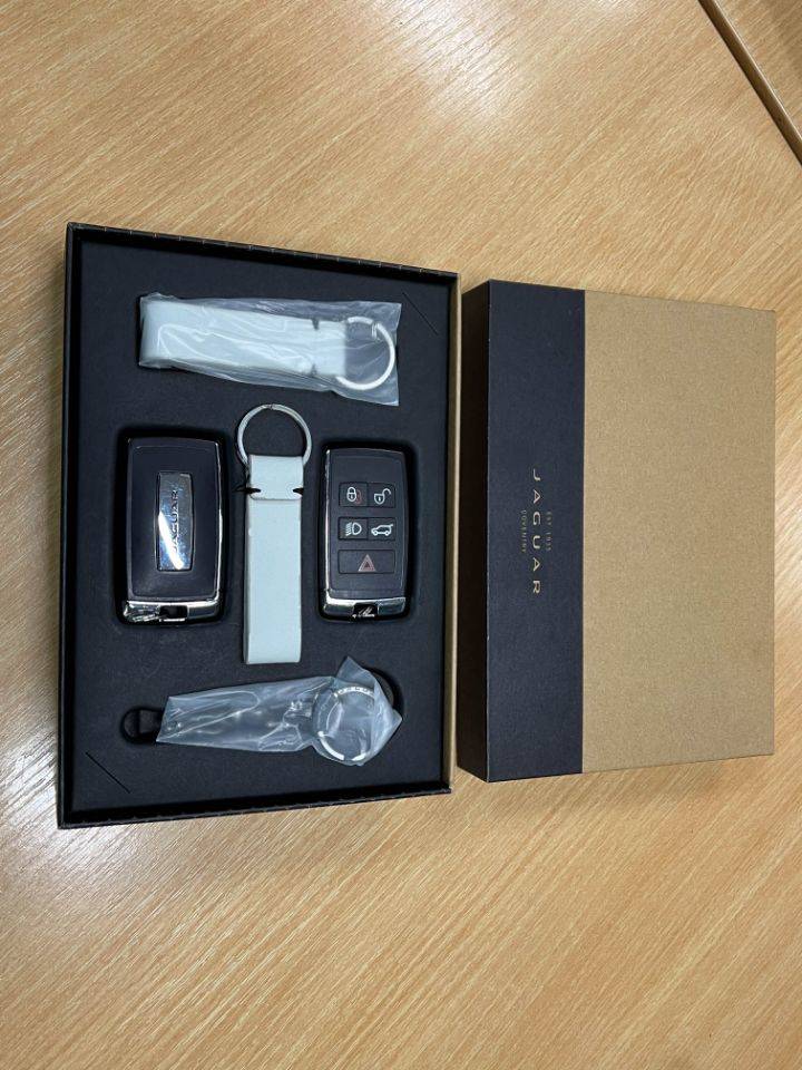 Jaguar F Pace   Registered:2023(72)