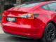 Tesla Model 3   Registered:2021(71)