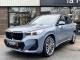 BMW X1   Registered:2022(72)