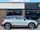 Audi SQ2   Registered:2022(22)