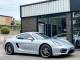 Porsche Cayman   Registered:2014(64)