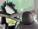 Tesla Model 3   Registered:2021(71)