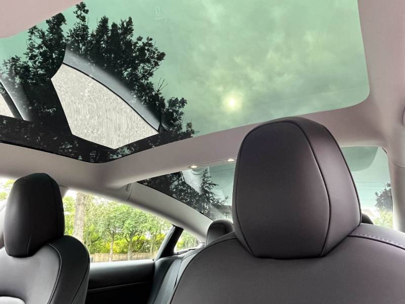 Tesla Model 3   Registered:2021(71)