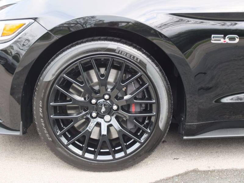 Ford Mustang   Registered:2017(17)