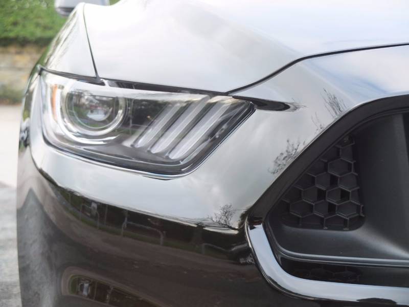 Ford Mustang   Registered:2017(17)