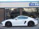 Porsche Cayman   Registered:2016(16)