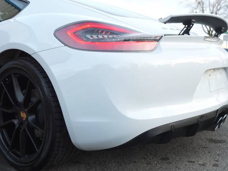 Porsche Cayman   Registered:2016(16)