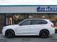 BMW X5   Registered:2017(67)
