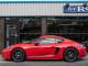 Porsche Cayman   Registered:2019(19)